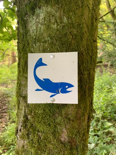 Naturschutzgebiet Theißtal und Waldsee ab Niedernhausen