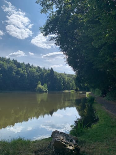 Naturschutzgebiet Theißtal und Waldsee ab Niedernhausen