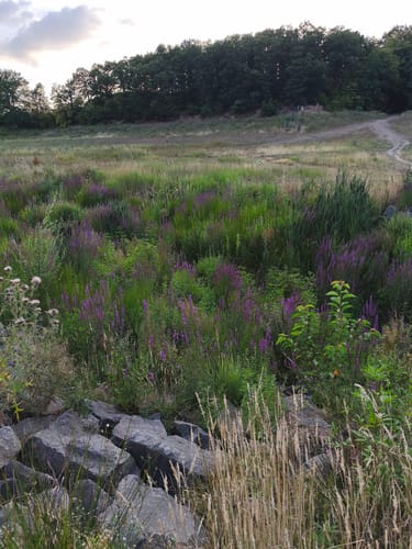 Vom Wanderparkplatz zur Steinbachtalsperre
