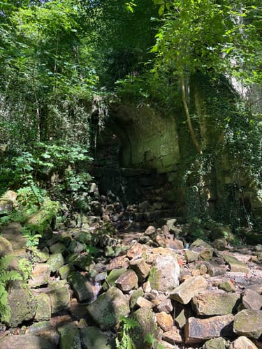 Bastei, Amselsee und Hohnstein [CLOSED]