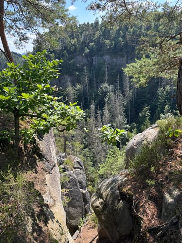 Bastei, Amselsee und Hohnstein [CLOSED]
