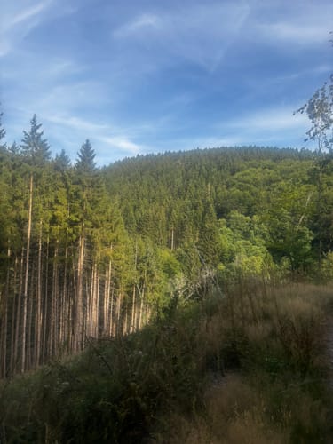 Riffelsbach-Runde (Hammer)