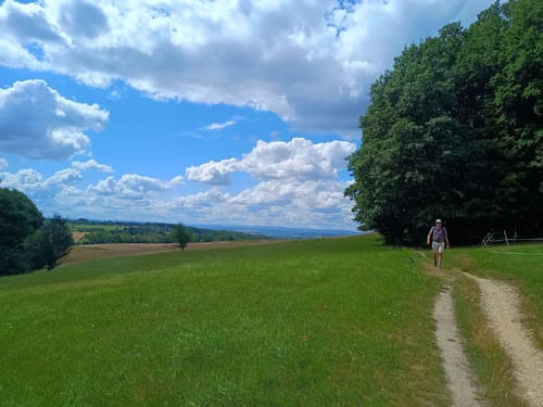 Um Pillnitz