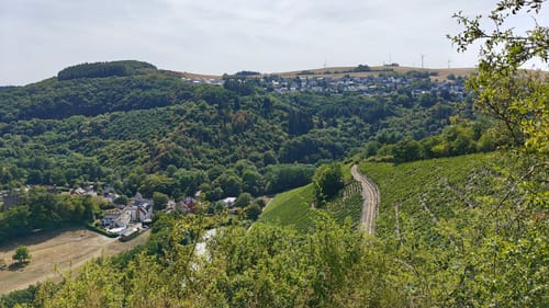 Sommerauer Schlossberg