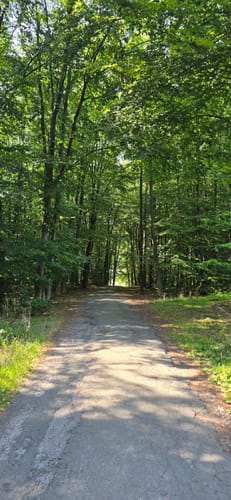 Kreiswald