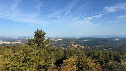 Auf den Großen Feldberg