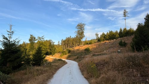 Auf den Großen Feldberg