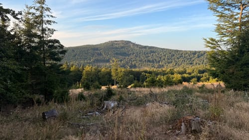 Auf den Großen Feldberg