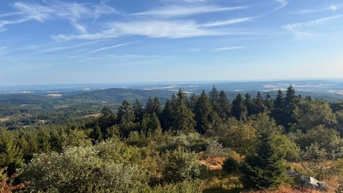 Auf den Großen Feldberg