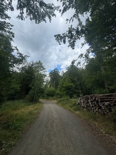 Um die Gelterswoog
