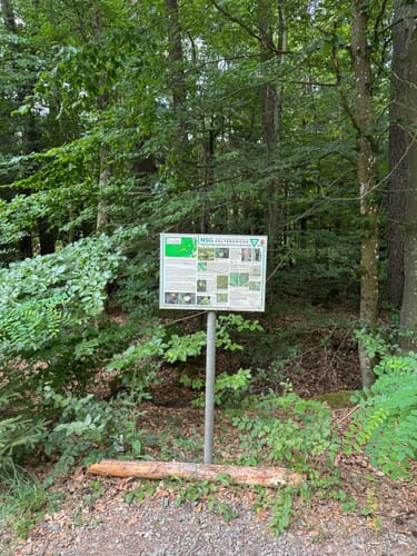 Um die Gelterswoog