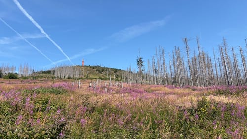 Wurmberg - Grenzweg