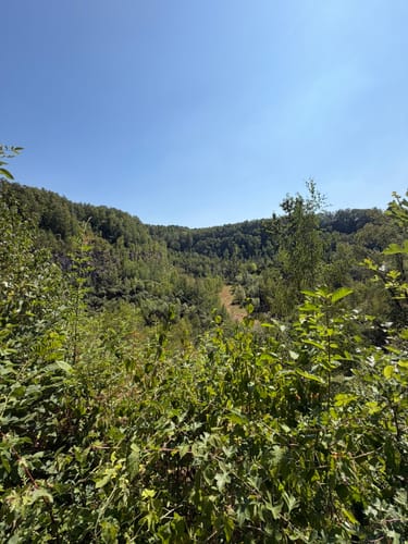 MTB: BODA - Weinhaus Event