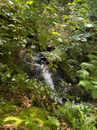 Entlang der Gaishöll Wasserfälle