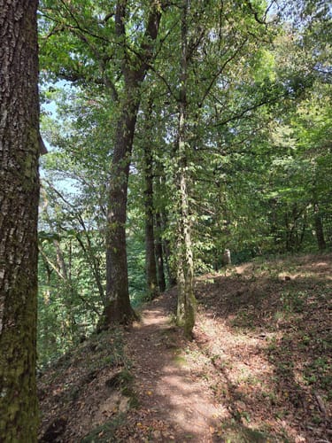 Sommerauer Schlossberg