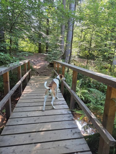 Kell am See ab Landal Greenpark