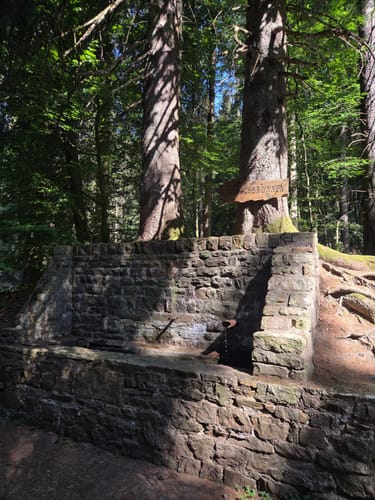 Kell am See ab Landal Greenpark