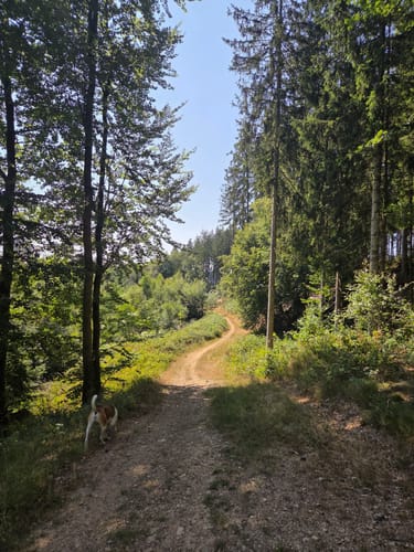 Kell am See ab Landal Greenpark
