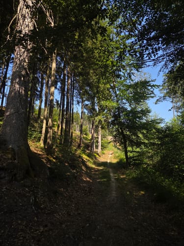 Kell am See ab Landal Greenpark