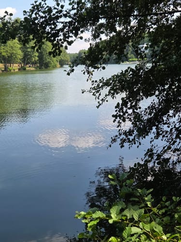 Brückweiher - Gustavsburg