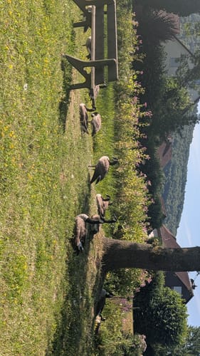 Lauferlebnis Fränkische Schweiz W2