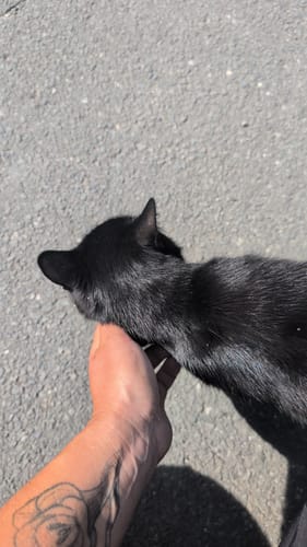 Lauferlebnis Fränkische Schweiz W2
