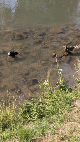 Lauferlebnis Fränkische Schweiz W2