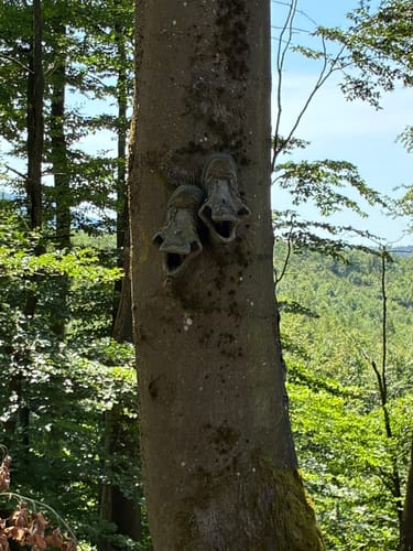 Eisenach, Wartburg, Drachenschlucht