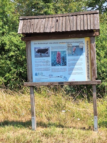 Fischerberg (Traumschleifchen)