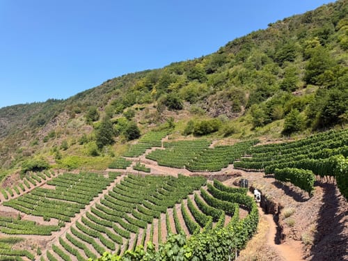 Bremmer Weinberge - Calmont Klettersteig