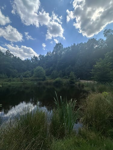 Wulmstorfer Heide