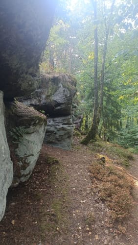 Rothenberg-Weg (Premiumwanderweg)