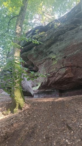 Rothenberg-Weg (Premiumwanderweg)