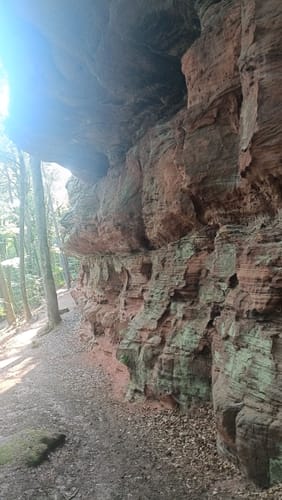 Rothenberg-Weg (Premiumwanderweg)