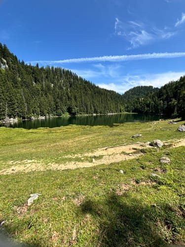 Stoibenmoseralm - Sonnwendköpfl - Taubensee
