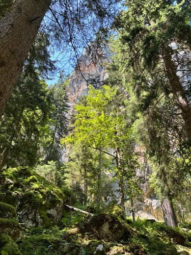 Stoibenmoseralm - Sonnwendköpfl - Taubensee