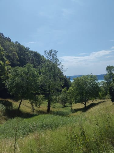 Blütenweg Sipplingen