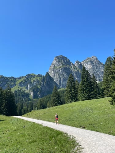 Ostlerhütte und Reichenbachklamm