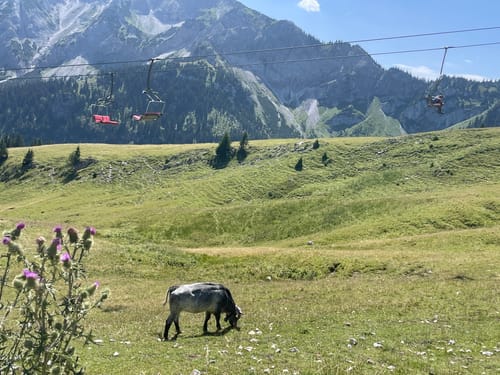 Ostlerhütte und Reichenbachklamm