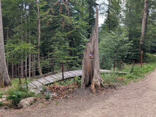 Höllentalklamm - Höllentalangerhütte - Stangensteig