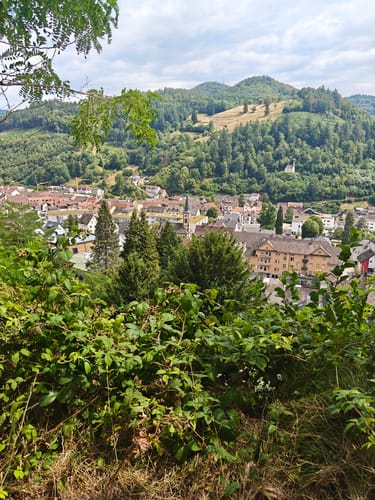 Fischweiher Rundwanderung
