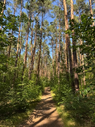 Birkenwerder - Briesetal