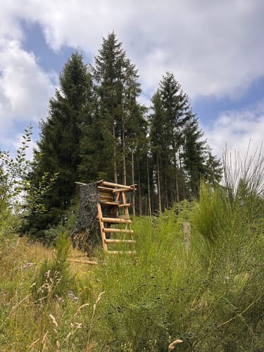 Stockum Wanderweg St4