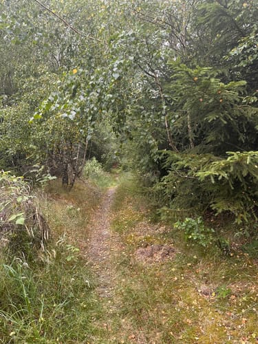 Stockum Wanderweg St4
