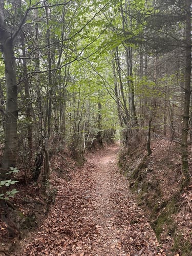 Stockum Wanderweg St4
