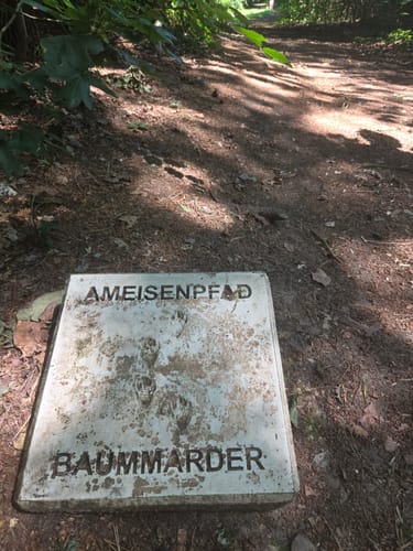 Schermbeck: Auf dem Ameisenpfad