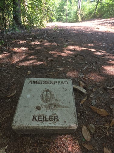 Schermbeck: Auf dem Ameisenpfad