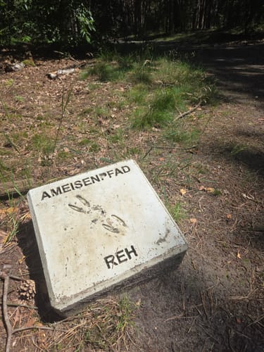 Schermbeck: Auf dem Ameisenpfad