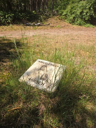 Schermbeck: Auf dem Ameisenpfad