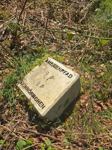Schermbeck: Auf dem Ameisenpfad